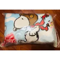 在飛比找蝦皮購物優惠-史努比 SNOOPY 可愛 限定款 枕頭 抱枕 全新 現貨