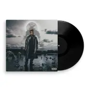 Fighting Demons (Vinyl)