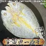 【海肉管家】野生黃魚10尾(約250~300g/尾)