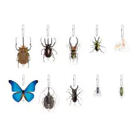 在飛比找蝦皮購物優惠-一番賞 昆蟲 世界的昆蟲大集合 G賞吊飾