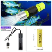 Flashlight Diving Light LED Waterproof Dive Scuba Lamp + Charger +2 Bateries