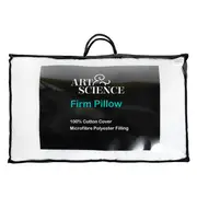 Art & Science Firm Pillow