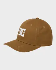 Mens DC Cap Star Flexfit Cap