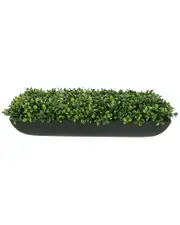 Creative Displays Boxwood Arrangement In Black Fiberstone Planter