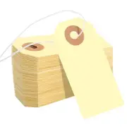 100 Pack Blank Gift Tags with Elastic String Marking Hang Tags Attached