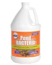Pondworx Pond Bacteria - Formulated for Large Ponds, Water Features and Safe
