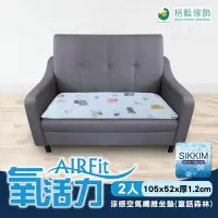 在飛比找Yahoo奇摩購物中心優惠-【格藍傢飾】AIRFit氧活力涼感透氣支撐座墊-2人座-童話