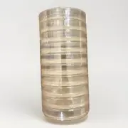 10pcs Plain Agar Petri Dishes Prepoured Agar Plates Tissue Culture Plate {G}
