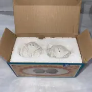 Owlet Salt Pepper Shakers White Porcelain Set new in box