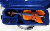 在飛比找Yahoo!奇摩拍賣優惠-＊雅典樂器世界＊德國 sandner 山德 中提琴盒15吋 