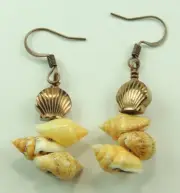 Copper Color Hematite Earrings with Sea Shells Handmade Earrings