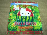 在飛比找Yahoo!奇摩拍賣優惠-購於日本變裝西瓜HELLO KITTY熊本限定圖案日本製小毛