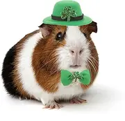 Guinea Pig Saint Patrick's Day Hat Bow Tie Set Small Animal Irish Green Top Hat with Shamrock Décor St.Patrick's Day Costume Accessories for Rabbit Bunny Ferret Bearded Dragon Puppy Kitten