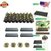 Compact Seed Starter Kit with 160 Pots & 32 Cells - Ideal for Home Gardening