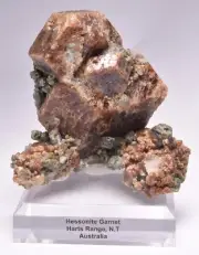 HESSONITE GARNET, HARTS RANGE N.T. AUSTRALIA M133