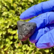 meteorite : El Menia: 15.941 Grams , 100% Flight Shaped W/Rollover Lip!!