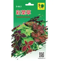 在飛比找momo購物網優惠-【翠筠用品】花卉種子B組