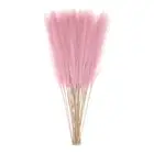 20pcs Dried Faux Pampas Grass 21" Artificial Pampas Grass Decor Red Brown