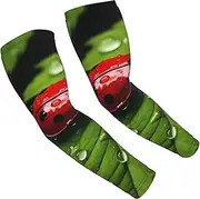 [FSCEV] Leaves And Ladybugs Sun Protection Arm Sleeves Outdoor Essentials Cooling Compression Golf Hiking Cycling