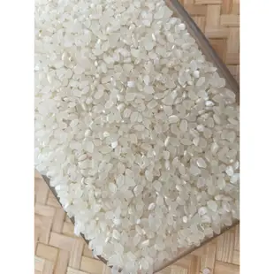 關山米．白米1.5kg/包．帶胚芽．產地:台東關山．新乾坤碾米廠出品．四季好米．