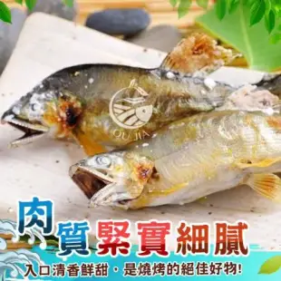 【歐呷私廚】宜蘭特選爆卵母香魚二盒-1KG/8~10尾/盒-免運