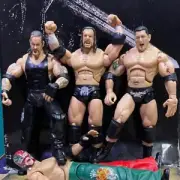 WWE Action Figures - John Cena, Batista, Triple H, Boogeyman - Joint Mobility