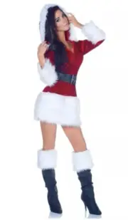 All Wrapped Up Sexy Santa Costume UNDERWRAPS MEAN GIRL CHRISTMAS Size SMALL READ