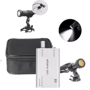 5W LED Dental Medical Head Light + Optical Filter Metal Clip Clear Circle Silver