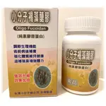 【說蔬人】🌟褐藻醣膠120顆🌟/高單位600MG/台灣小分子褐藻糖膠/素食褐藻/純素膠囊/褐抑定/純素膠原蛋白/小分子