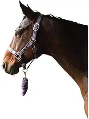 Hy Tartan Head Collar with Lead Rope (UK Size: Full) (Pink/Navy/Kingfisher Blue)