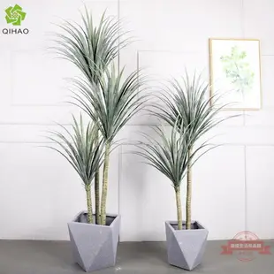 仿真鐵樹假植物盆栽酒店商場裝飾綠植客廳大擺件落地鐵樹