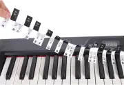Removable 88 Key Piano Notes Letter Label for Beginner PVC Piano Keyboard Notes