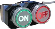 XNWKF 2Pcs 22mm 1 NO 1 NC Green Red ON/Off Sign LED Light Momentary Push Button Switch 660V 10A with LED Light Voltage 110V