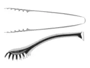 Spring Steel Long for Spaghetti Piazza