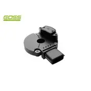 RAE Crankshaft Position Sensor - SC010