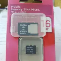 在飛比找蝦皮購物優惠-免運 出清 SanDisk Memory Stick Mic