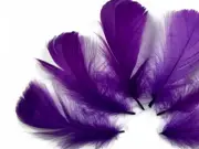 80 Feathers - Purple Goose Coquille Loose Plumage Halloween Wedding Supply Art