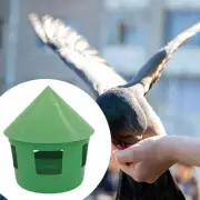 Pigeon Feeder Food Container Farm Birds Dispenser for Chook Hen Quail Geese