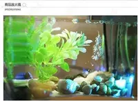 在飛比找Yahoo!奇摩拍賣優惠-【婷婷小屋  123】筆筒魚缸 USB迷妳水族箱迷妳魚缸 L