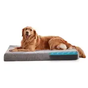 Orthopedic Memory Foam Dog Beds X-Large-41"x 29" x 4" Light Grey (Memory Foam)