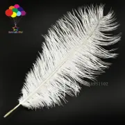 270 pcs 20-22inches/50-55cm High quality white ostrich feathers wedding Party
