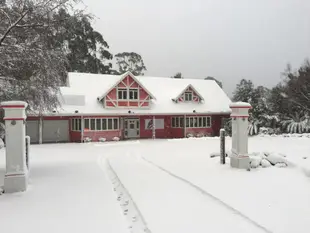 搖籃森林旅館Cradle Forest Inn