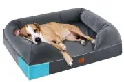 Orthopedic Dog Bed Full Memory Foam, 36x28, Grey, Waterproof Liner, Removable...