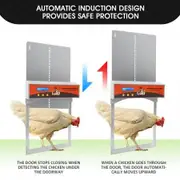 Timer/Light Sensor Automatic Chicken Coop Opener Safe Closer Prevent Predators Fox Raccoon