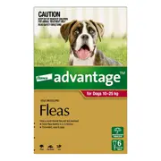 Advantage For Large Dogs 10 To 25Kg (Red) 12 Pack