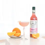 Cosmo Cocktail Mixer [MRCLCCKTL21_B]