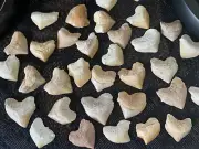 Moroccan Squalicorax Fossil Shark Tooth | Single Tooth