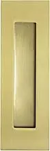LOCKWOOD Vivid 150MM Sliding Door Flush Pull Satin Brass TP