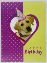 Happy Birthday Card “Wishing You The Best On Your Special Day” Dog Party Hat P3