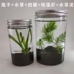 苔蘚生態瓶 生態瓶 迷你生態瓶 科學生態瓶微景觀魚缸小蝦水草植物迷你小型造景DIY材料學生作業